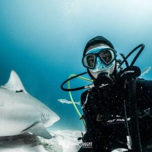 Eleonora Fotógrafa Marina